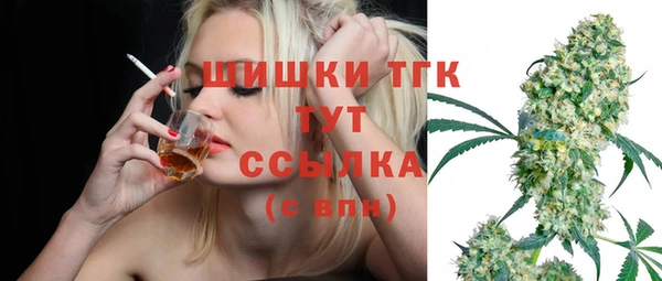 ешки Надым