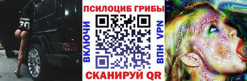 закладка  Усть-Катав  Псилоцибиновые грибы ЛСД 